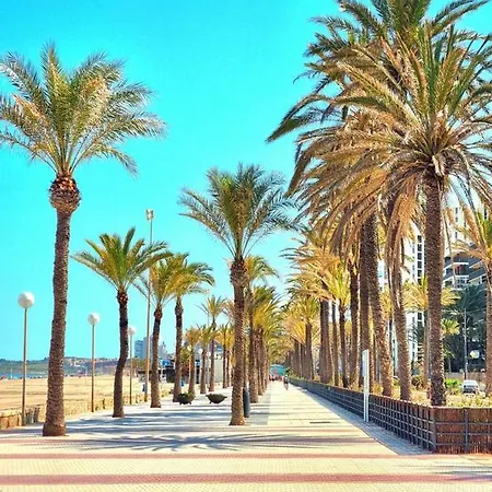San Juan Beach Gam
